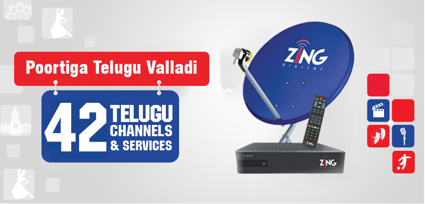 Telugu Channels and Services